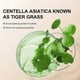 thumbnail image 3 of CC Cream with Centella Asiatica Color Correcting CC Cream Lightweight Skin, 3 of 4
