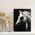 thumbnail image 2 of Qisvanset Majestic White Horse Portrait Canvas Wall Art 15.75x11.81 Inches, 2 of 8