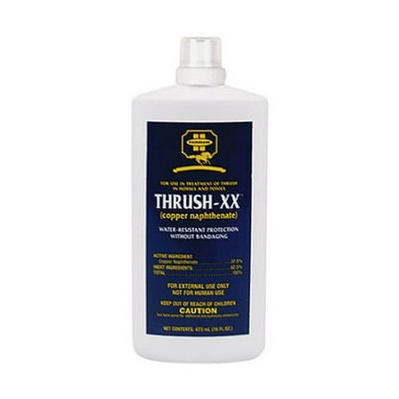 THRUSH Relief Treatment Equine Horses No Bandaging Water Resistant 16 (Best Way To Treat Thrush In Horses Feet)