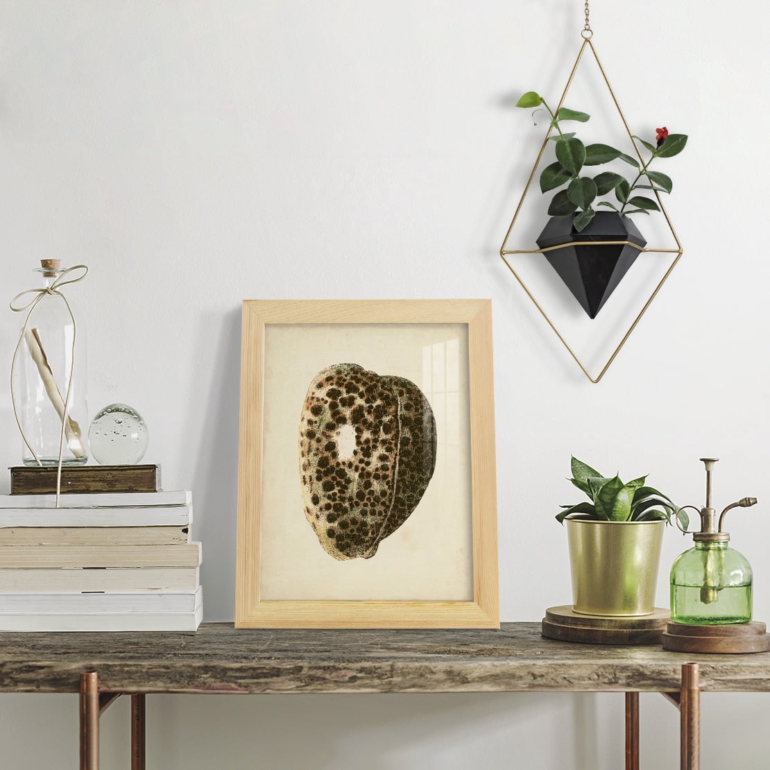 Sealife Collection III - Framed Print w/glass - Natural Wood