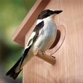 thumbnail image 4 of Casa para Pájaros con Ventana Exterior, Caja , Casa para Pájaros con Ventosa Fuerte, 4 of 6