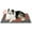 Formal Grey, variant on Self Warming Cat Bed, Soft Self-Heating Pad for Cats & Dogs, Thermal Extra Warm Puppy Mat Indoor & Outdoor, Non-Slip & Washable