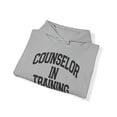 thumbnail image 4 of Counselor Counseling Future School Student Hoodie, Gifts, Hooded Sweatshirt, 4 of 4