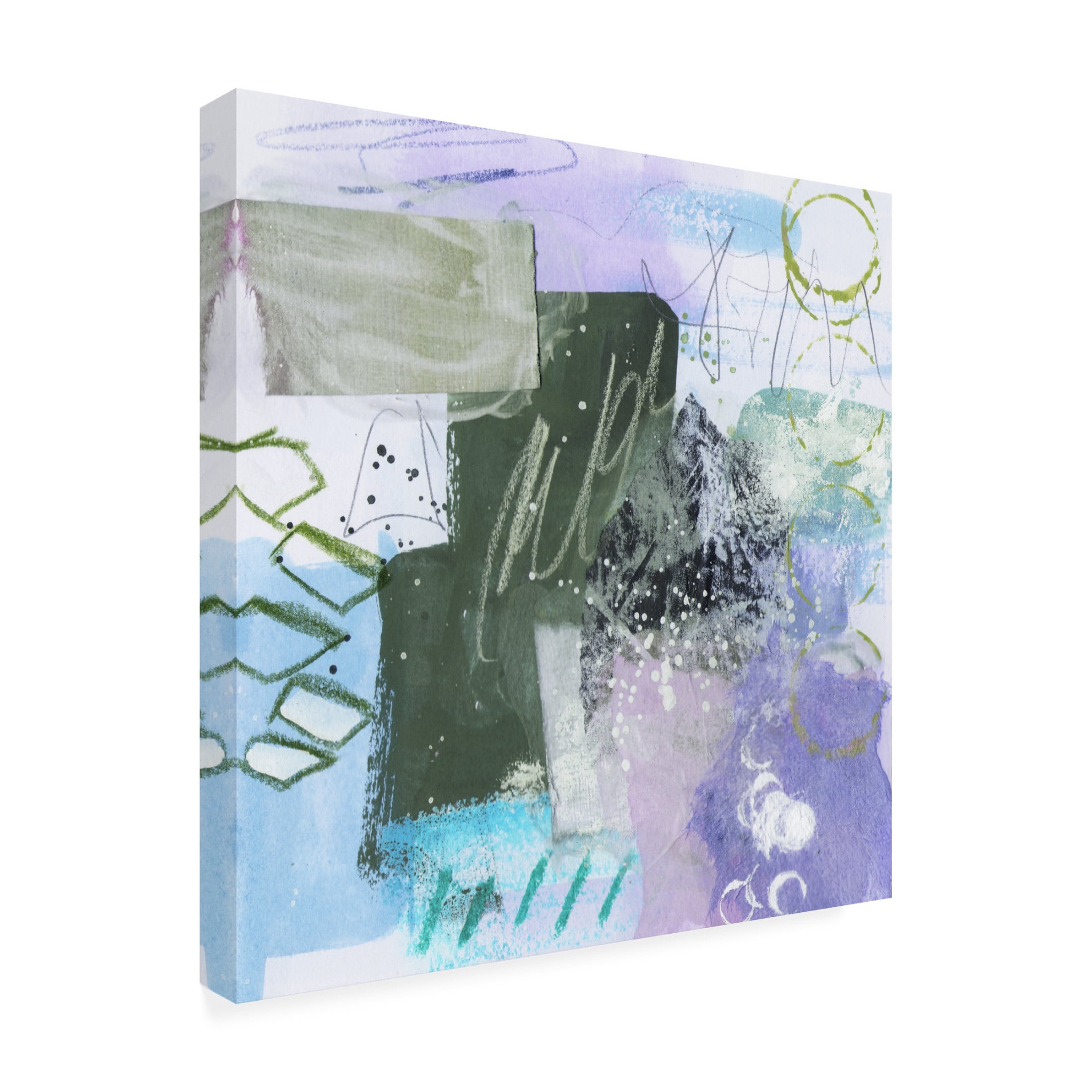 Trademark Fine Art Melissa Wang  Snow Petal IV Canvas Wall Art