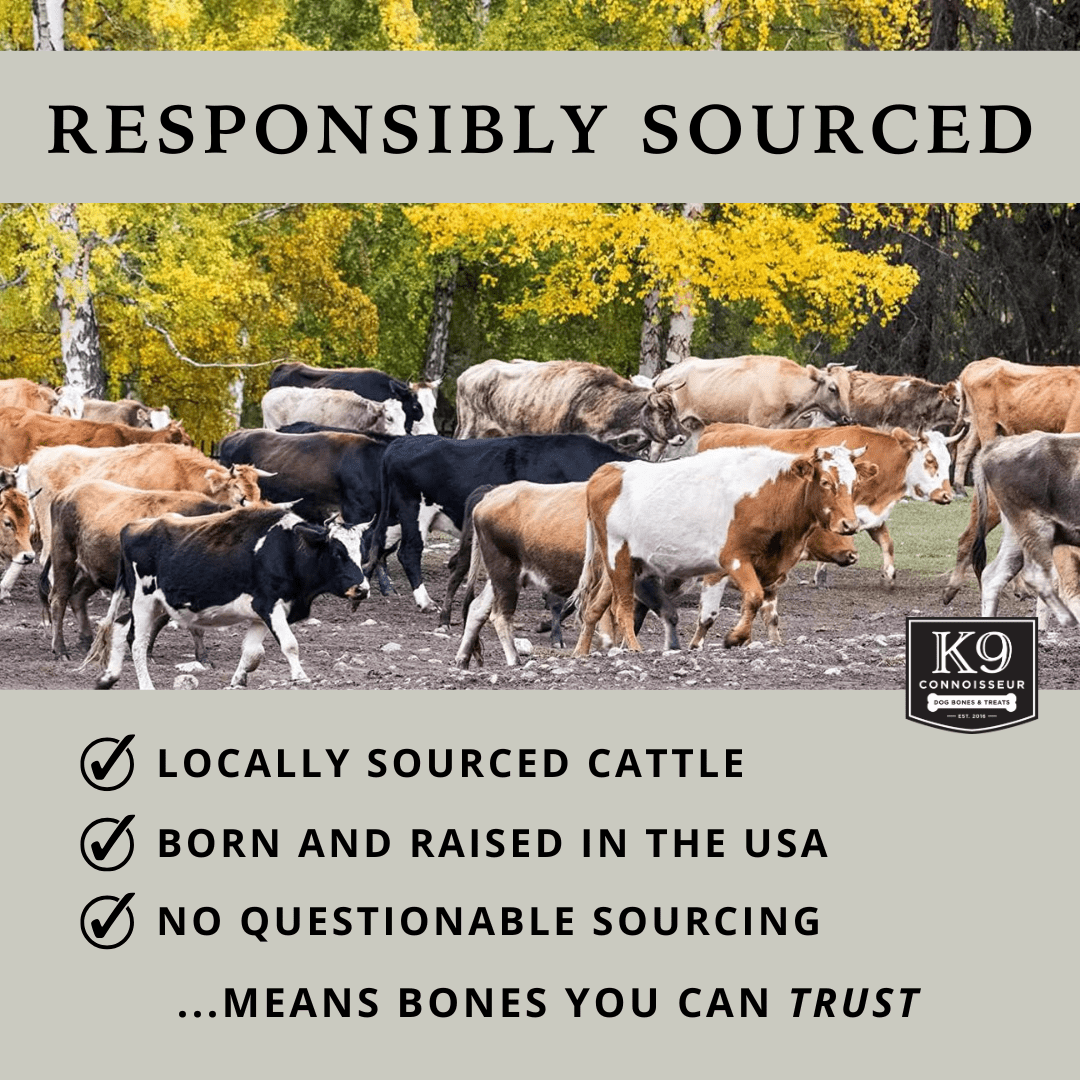 K9 Connoisseur Dog Bones Made in USA for Small and Medium Breed Dogs Natural Long Lasting Meaty Beef Knee Cap Bone Treats Best for Dogs Upto 50 Pounds 1 Pack 10 Count