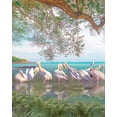thumbnail image 2 of Hunziker, Steve 12x14 White Modern Wood Framed Museum Art Print Titled - Coastal Plumage, 2 of 4