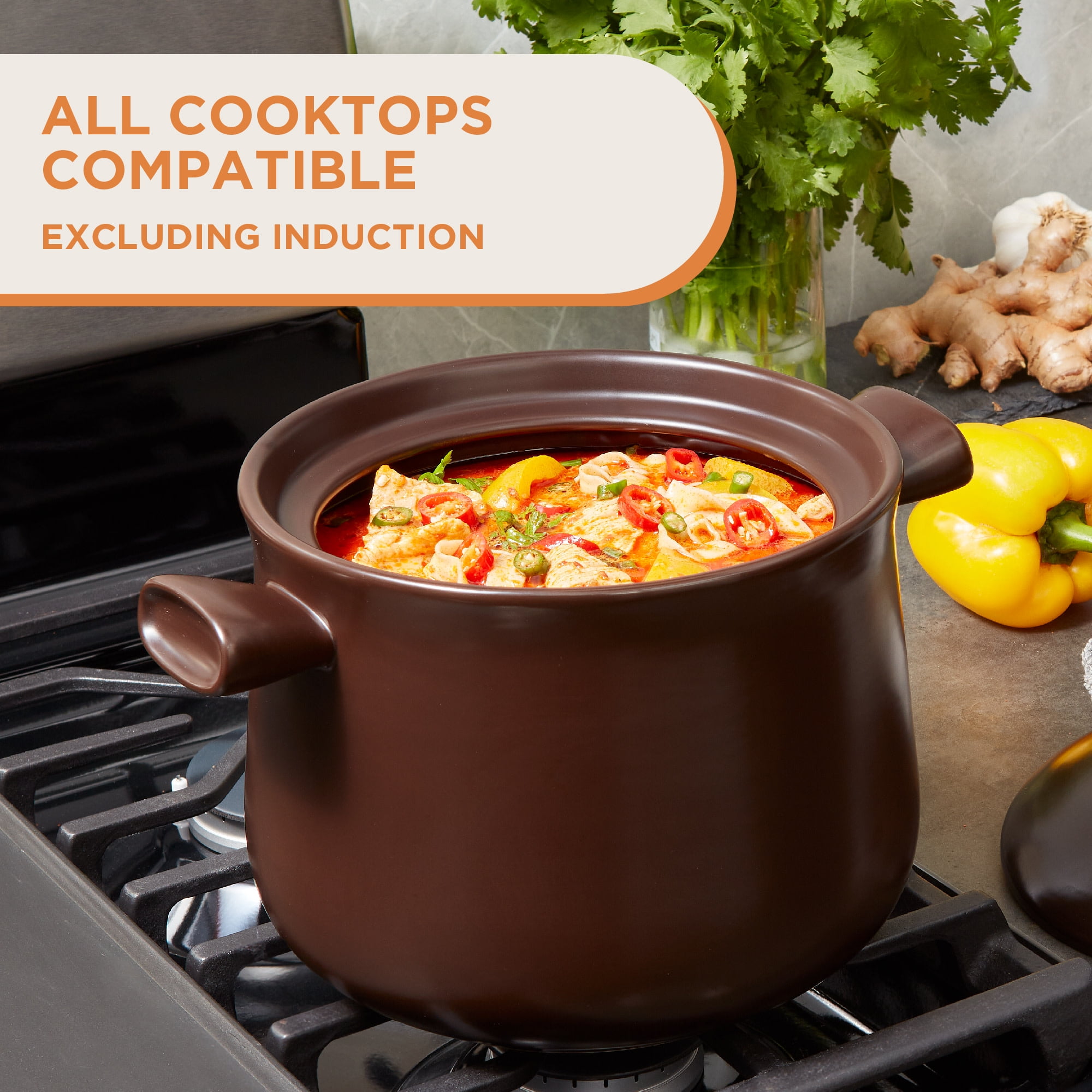 4.5L Pottery Cooking Pot