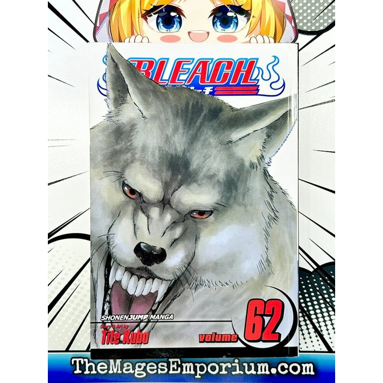 Bleach: Bleach, Vol. 62 (Series #62) (Paperback) - Walmart.com