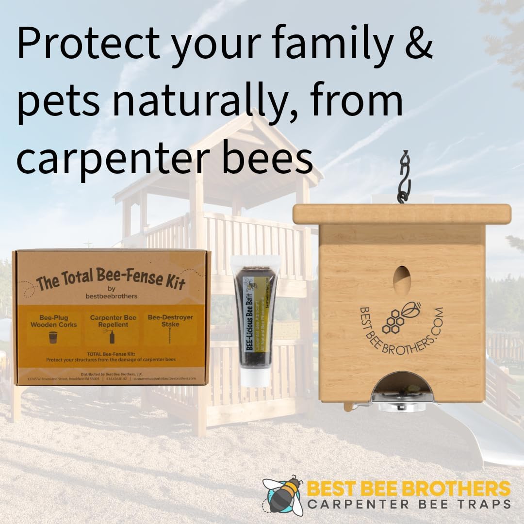 WLTER Pine Turbo Trap, Professional-Grade Carpenter Bee Trap for Outside with Bee Vault & Internal Turbo Funnel, 6.3” W x 6” H x 5” D (2 Pack)