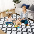 thumbnail image 4 of Sanmadrola Area Rug for Bedroom,4'X5.3',Fluffy Shag Rug for Living Room,Furry Carpet for Kids Room,Shaggy Throw Rug for Nursery Room,Fuzzy Plush Rug Carpet,Rectangle,Cute Room Decor for Baby, 4 of 7