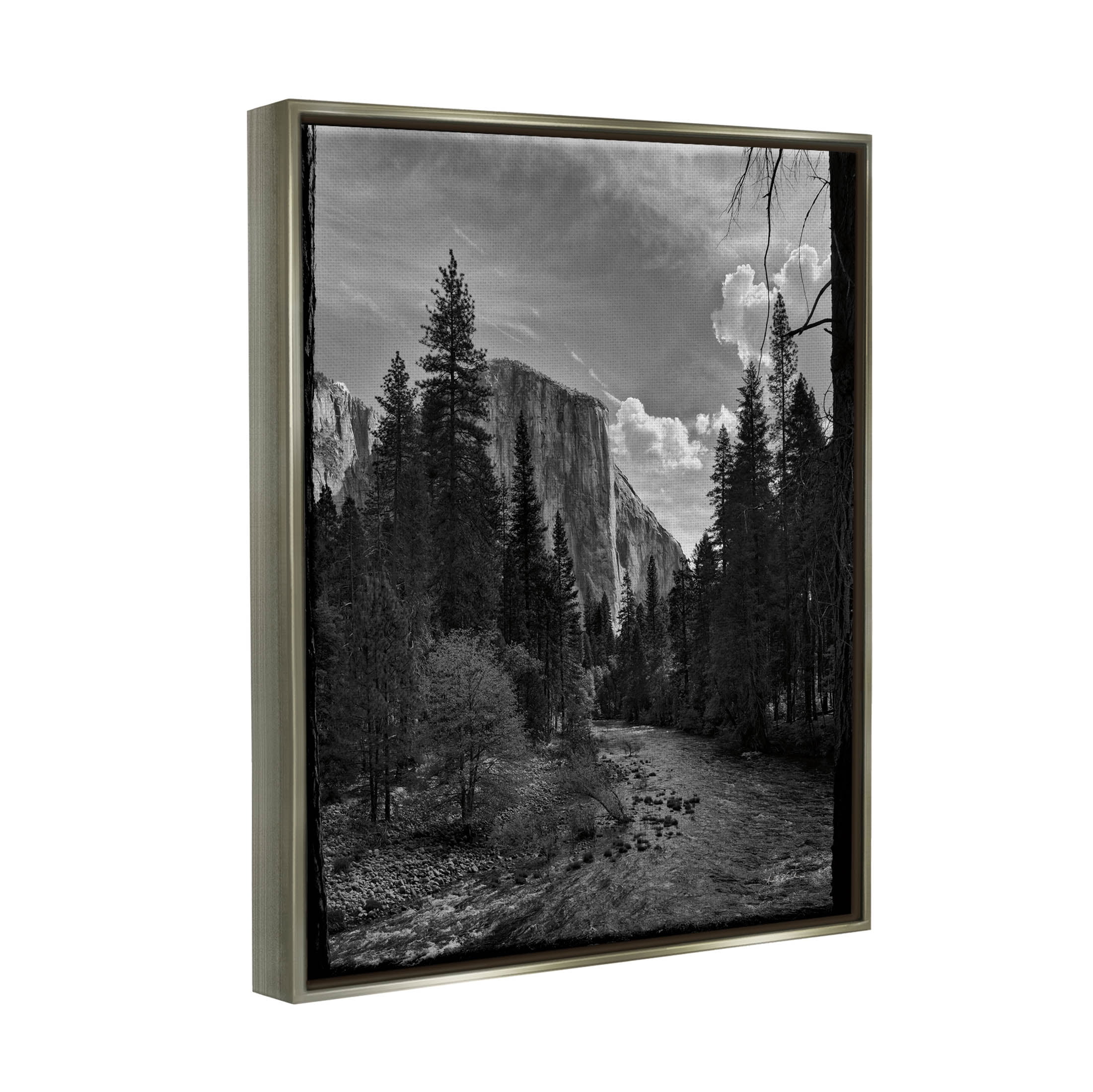 Stupell Industries Yosemite Park Nature Scenery Photograph Luster Gray Floating Framed Canvas Print Wall Art, Design by Andre Eichman