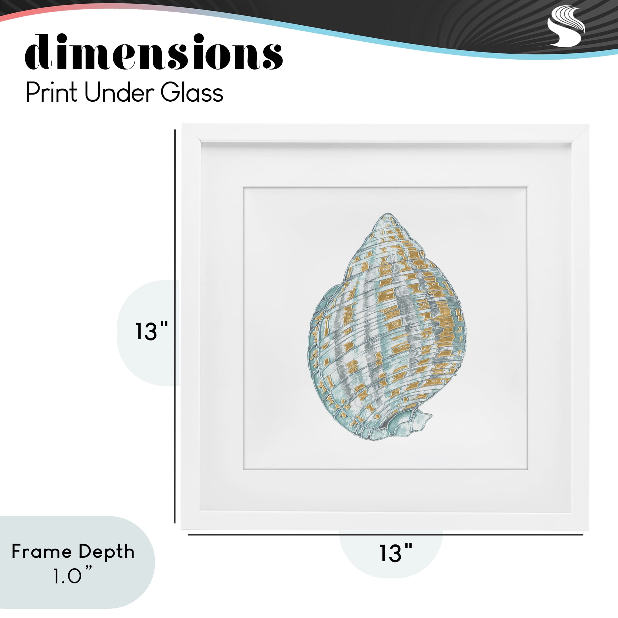 Stupell Industries Regal Shells Spiral White Framed Print Under Glass, design by Lorenzo Collective