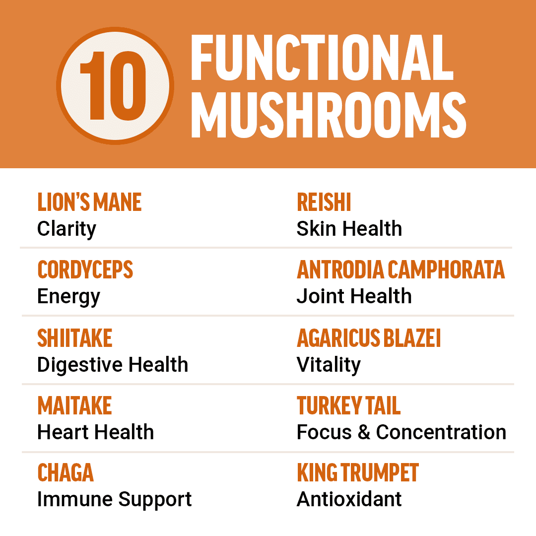 (3 pack) Force Factor Modern Mushrooms, Mushroom Supplement with Lion’s Mane, Cordyceps & Reishi for Energy, Focus, Immune Health & Digestion, 90 Capsules