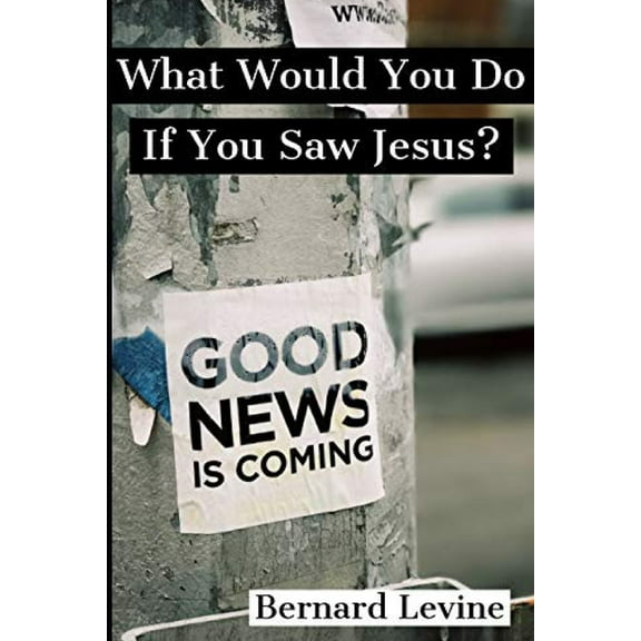 What Would You Do If You Saw Jesus? (Paperback)