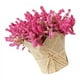 thumbnail image 4 of Lavanda artificial Gypsophila Cabezas de flores Decoración de bricolaje Rosa roja, 4 of 6