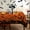 Halloween-spider Web, variant on Rectangle Halloween Tablecloth 60×102 Inch, Halloween Orange Tablecloths Spider Web Table Cover, Spooky Decoration Table Cloths Decor for Party Picnic Dinner