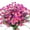 Rose, variant on 4 Bundles Artificial Daisies Flowers for Garden,UV Resistant Fake Greenery Decor for Window Indoor Office(Pink)
