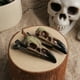 thumbnail image 4 of Pinza para el cabello con forma de calavera de cuervo para Halloween, decoración para fiestas temáticas de fantasmas, accesorios para el cabello con forma de calavera de animales, 4 of 6