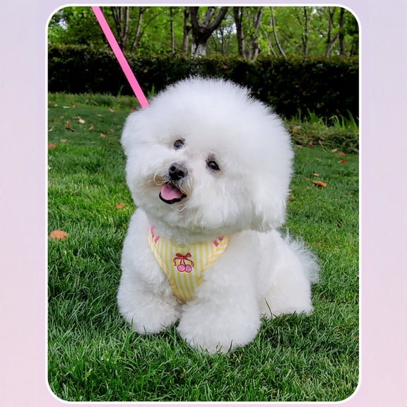 Stylish Korean Color-Block Small Dog Harness and Leash Set, Breathable Lightweight Mesh Vest for Bichon Frise and Puppies, Outdoor Walking Pet Gear Yellow XS