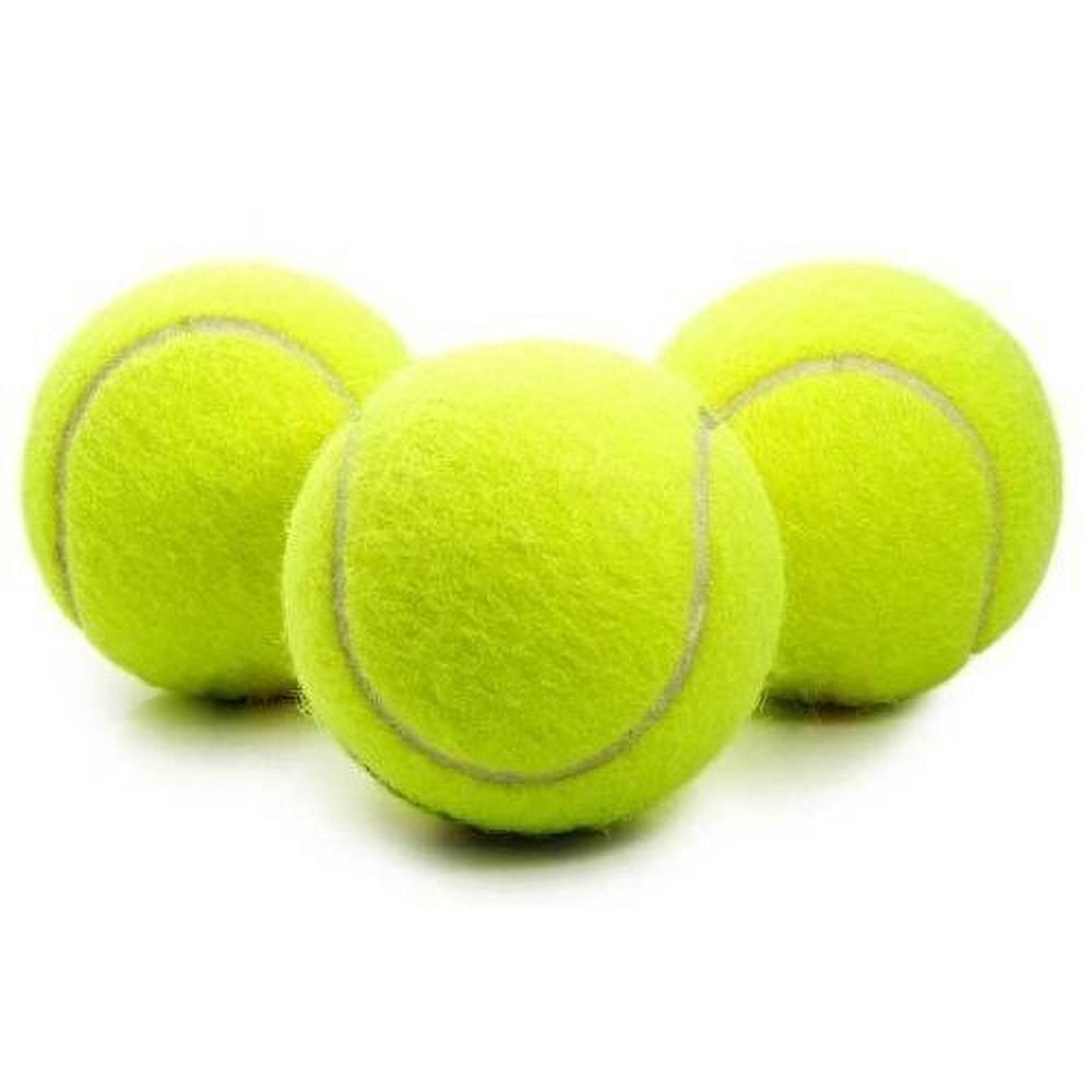 PLAYER Pressureless Tennis Balls (12 Pack)