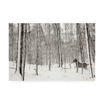 Trademark Fine Art 'A Snowy Walk II' Canvas Art by James McLoughlin