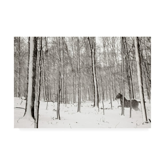 Trademark Fine Art 'A Snowy Walk II' Canvas Art by James McLoughlin
