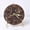 Ammonite(Φ10cm-12cm), variant on MATROOY Natural Agate Slice Disc Clock Ammonite Conch Labradorite Carved Energy Healing-Agate Slice(Φ 8cm-10cm)Random ...
