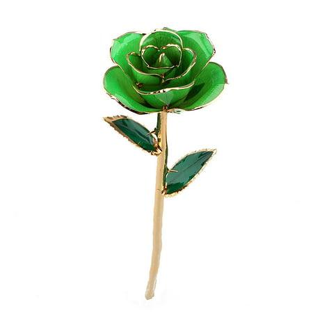 Naccgty 24K Gold Rose Red, Real Rose Long Stem Love Forever Flower with Beautiful Porcelain Vase Unique Anniversary for Her Women Girlfriend Valentine Day Thanksgiving Best Wedding (Best Red Wedding Reaction)