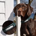 thumbnail image 3 of Pet Artist Personalized Dog Collar Braided Soft Padded Leather with Custom Pet Name ID Tag, 3 of 10