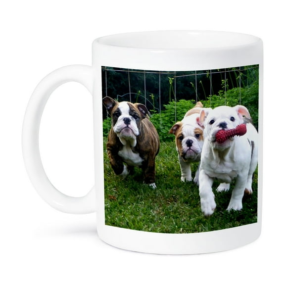 3dRose, English Bulldogs in Play, 15oz Mug