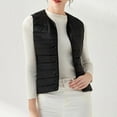 thumbnail image 2 of HOWPAY Womens Puffer Vest Lightweight Packable Sleeveless Quilted Puffy Jacket Casual Solid Color Button down Winter Coat with Pockets Warm Outwear Black L, 2 of 5