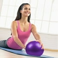 thumbnail image 4 of Zshan Pilates Core Ball, Small Exercise Ball for Pilates, Yoga, Core Training, Balance, 4 of 5