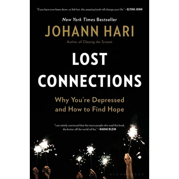 Lost Connections (Paperback)