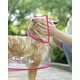 thumbnail image 4 of Poncho impermeable y cortavientos para perros y cachorros, talla XS (rosa), 4 of 5