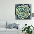 thumbnail image 3 of Trademark Fine Art 'Succulent Rosette II' Canvas Art by Chariklia Zarris, 3 of 4