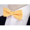 thumbnail image 2 of Bound Small Boy Polka Dot Bow Tie Baby Solid Color Bow Tie For Children Yellow, 2 of 4