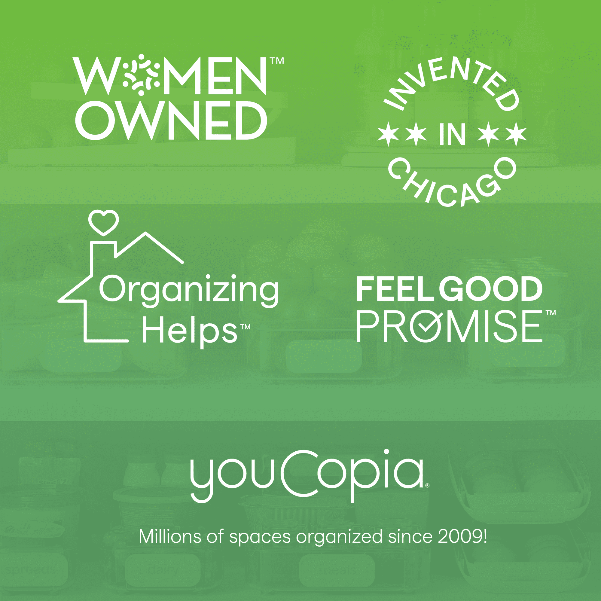 YouCopia RollOut Fridge Caddy, 9" x 15"