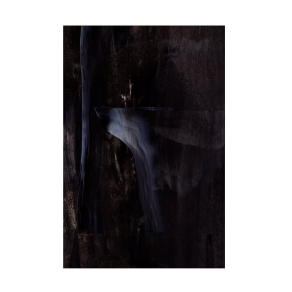 Trademark Fine Art uplusmestudio  Dramatic Texture Canvas Wall Art