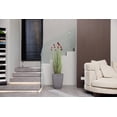 thumbnail image 7 of Artificial red Pampas Grass | 56” | Tall faux grass in planter| Home Decor By Vintage Home, 7 of 7
