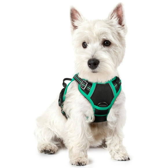 rabbitgoo Harnais pour Chien, Harnais pour Animal Anti-Traction avec 2 Pinces pour Laisse, Harnais Rembourré Doux Ajustable, Harnais Oxford Réfléchissant Anti-Étranglement pour Animal avec Poignée de Contrôle Facile pour Grands Chiens, Noir et Turquoise, TP