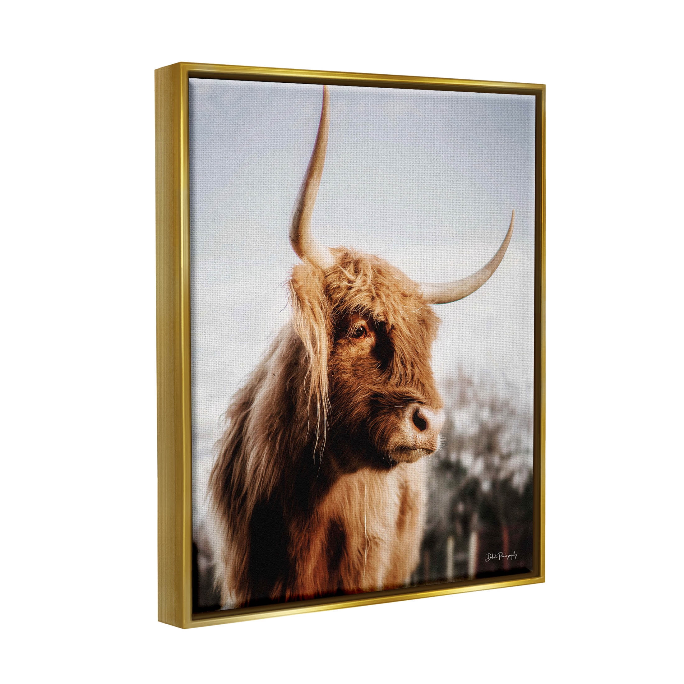 Cattle Gazing Rural Landscape Animals & Insects Photograph Metallic Gold Framed Art Print Wall Art
