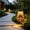Coffee, variant on Solar-Powered Garden Light Outdoor Waterproof Lamp, Rattan Woven Potted Landscape Light Villa Homestay Decorative Hanging Light