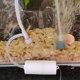 thumbnail image 4 of Aquarium Oxygen Air Pump Fish Tank USB Silent Air Compressor Aerator Portable Mini Small Oxygenator Aquarium Accessories 5V 1W, 4 of 5