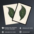 thumbnail image 2 of Vintage Botanical Nerve Plant Leaf Fawcett Huge Wall Art Poster Print, 2 of 4