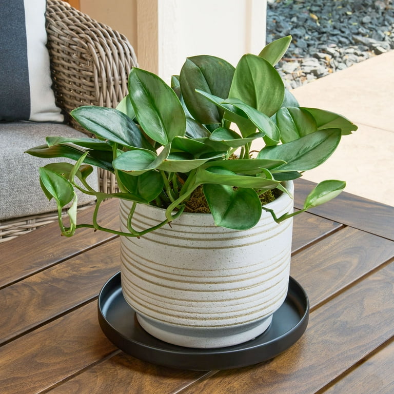 Better Homes & Gardens Black Metal Saucer 8 to the inch Plant Drip