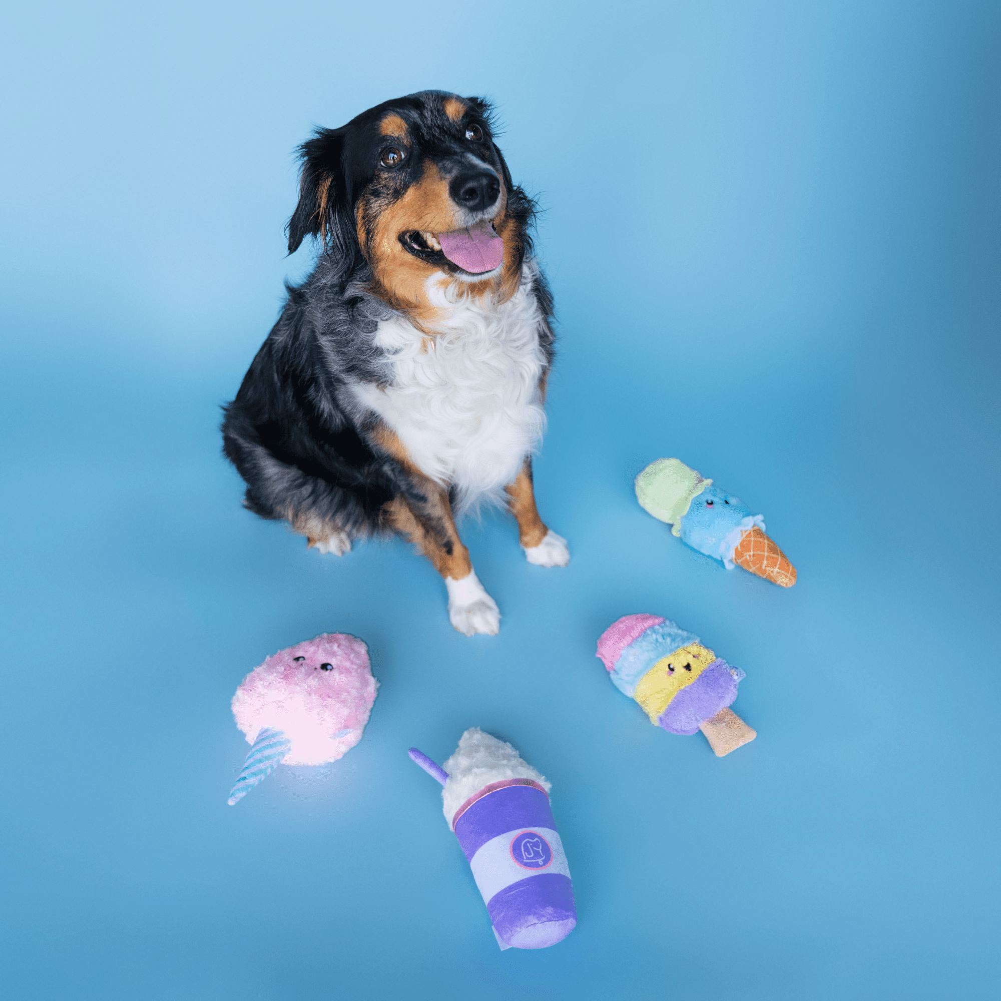 Bundle x Joy Cotton Candy Plush for Dogs with Squeaker, Crinkle & Softness for Added Joy