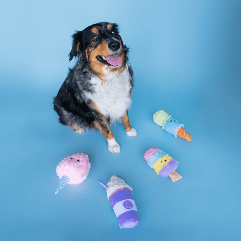 Bundle x Joy Whipped Puppuccino Plush for Dogs with Squeaker