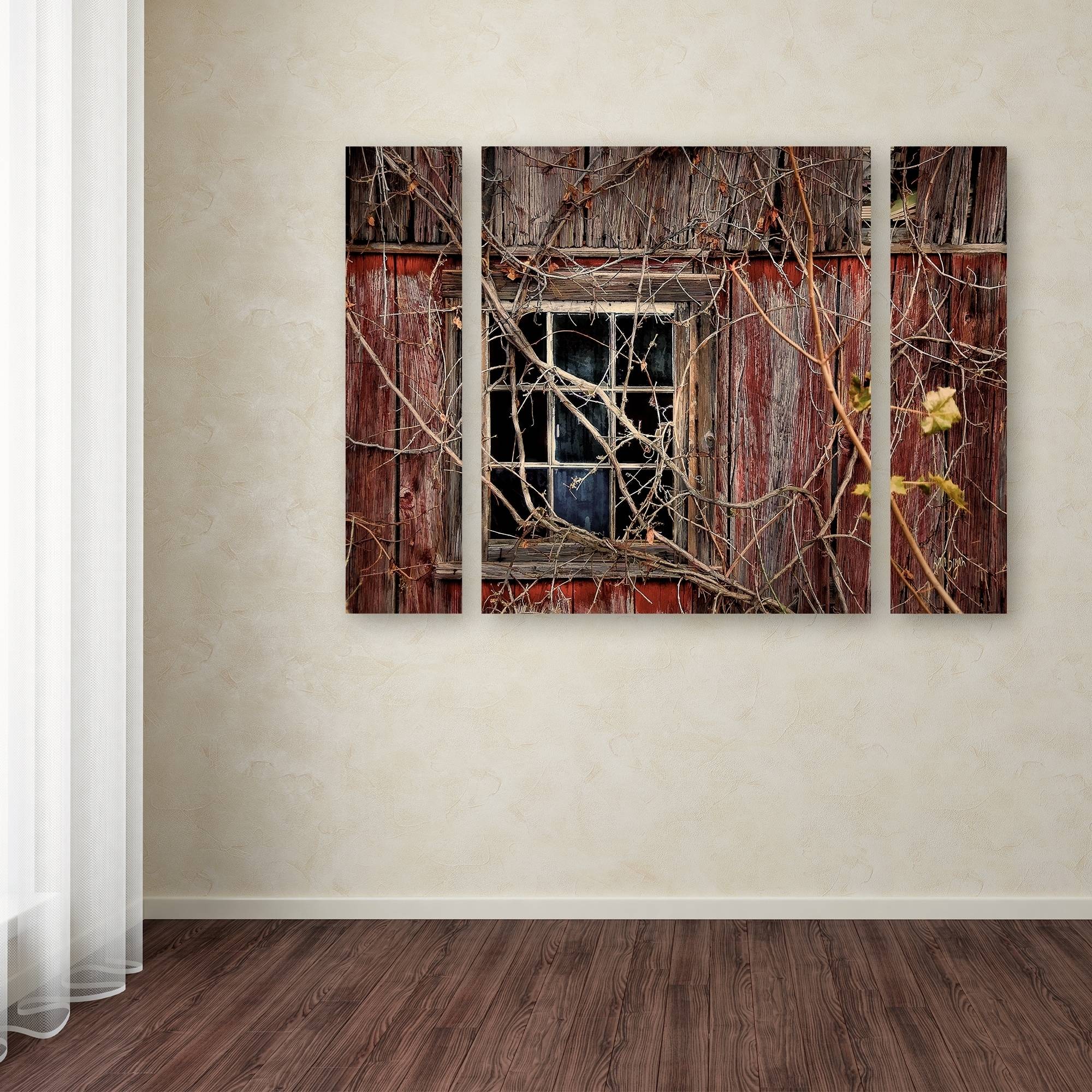 Trademark Fine Art "Old Barn Window" Canvas Art by Lois Bryan Three Panel Set