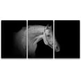 thumbnail image 3 of PixonSign Canvas Print Wall Art Set Pinhole Style Horse Portrait Animals Wildlife Photography Realism Rustic Closeup Relax/Calm Dark Black and White for Living Room, Bedroom, Office - 24"x36"x3, 3 of 5