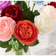 thumbnail image 3 of Nvzi 12 flores artificiales de peonía, flores falsas, flores artificiales para decoración de bodas., 3 of 5